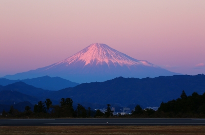 photo?id=1445&suffix=m