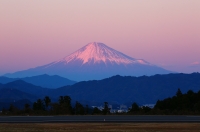 photo?id=1445&suffix=t