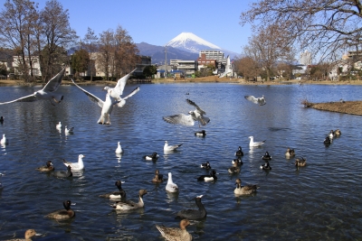 photo?id=1447&suffix=m
