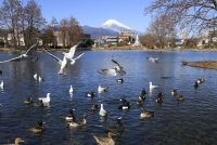 photo?id=1447&suffix=t