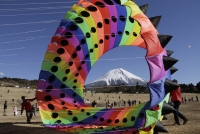 photo?id=1449&suffix=t