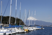 photo?id=1451&suffix=t