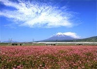 photo?id=1452&suffix=t