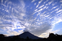 photo?id=1453&suffix=t