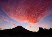 photo?id=1455&suffix=t