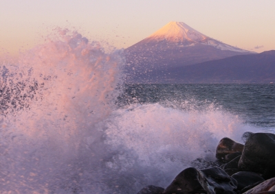 photo?id=1456&suffix=m