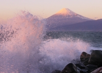 photo?id=1456&suffix=t