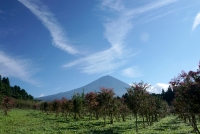 photo?id=1460&suffix=t