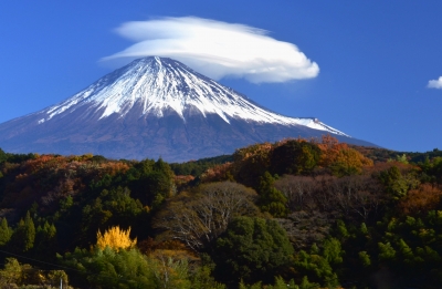 photo?id=1461&suffix=m