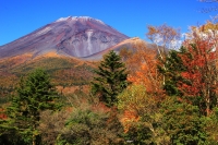 photo?id=1462&suffix=t