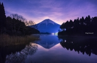 photo?id=1463&suffix=t