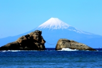 photo?id=1470&suffix=t
