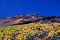 photo?id=1473&suffix=t