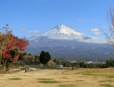 photo?id=1480&suffix=m