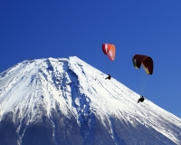 photo?id=1487&suffix=t