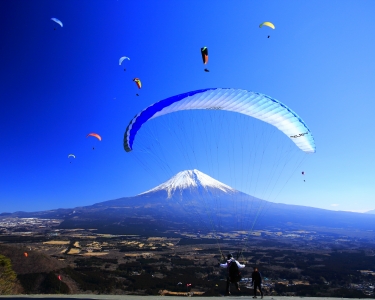 photo?id=1488&suffix=m