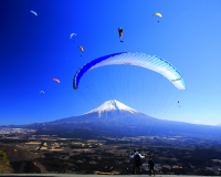 photo?id=1488&suffix=t