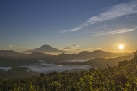 photo?id=1489&suffix=t