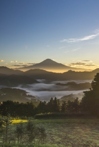 photo?id=1490&suffix=m