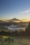 photo?id=1490&suffix=t