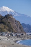 photo?id=1492&suffix=t
