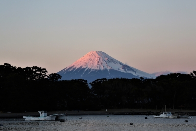 photo?id=1526&suffix=m