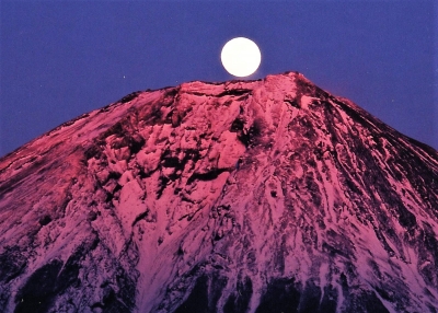 photo?id=1556&suffix=m