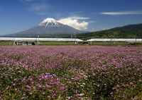 photo?id=1671&suffix=t