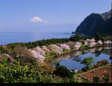 photo?id=1714&suffix=m