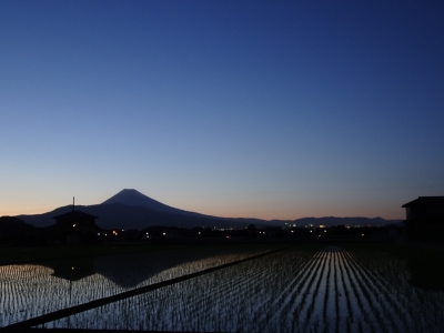 photo?id=1734&suffix=m