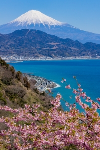 photo?id=1778&suffix=m