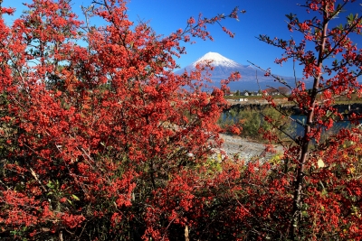 photo?id=1800&suffix=m