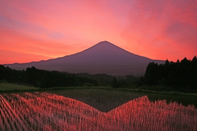photo?id=1806&suffix=m