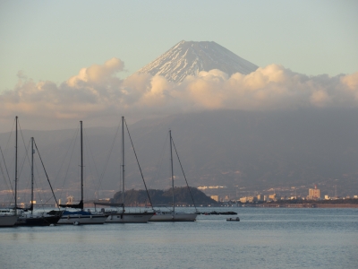 photo?id=1809&suffix=m