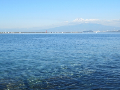 photo?id=1810&suffix=m
