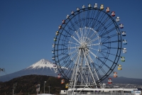 photo?id=2116&suffix=t