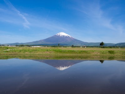 photo?id=2147&suffix=m