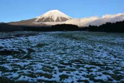photo?id=2156&suffix=m