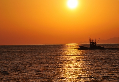 photo?id=2191&suffix=m