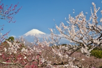 photo?id=2207&suffix=t