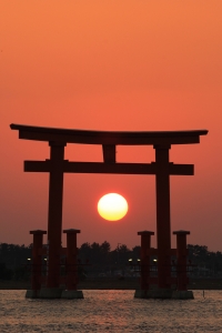 photo?id=2219&suffix=m
