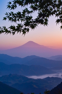 photo?id=2240&suffix=m