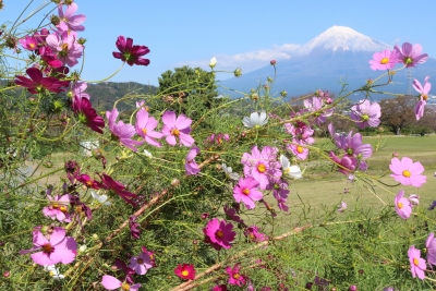 photo?id=2262&suffix=m
