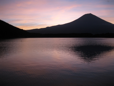 photo?id=2263&suffix=m