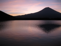 photo?id=2263&suffix=t
