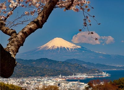 photo?id=2267&suffix=m
