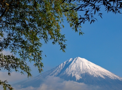 photo?id=2268&suffix=m