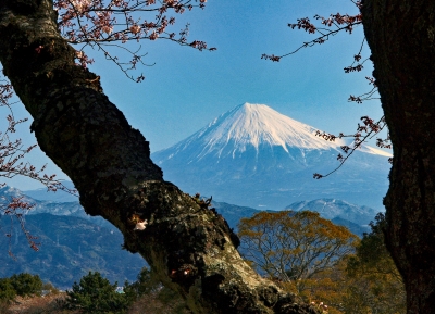 photo?id=2271&suffix=m
