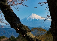 photo?id=2271&suffix=t