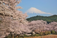 photo?id=2280&suffix=t